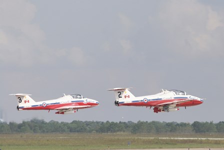 The Snowbirds 431 by Terry Moore/Stocktrek Images art print