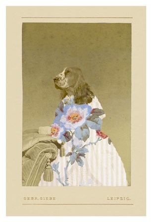 Constance by Philippe Debongnie art print