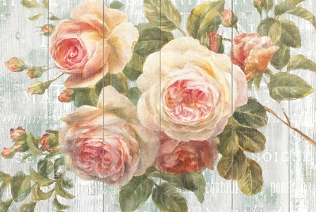 Vintage Roses on Driftwood by Danhui Nai art print