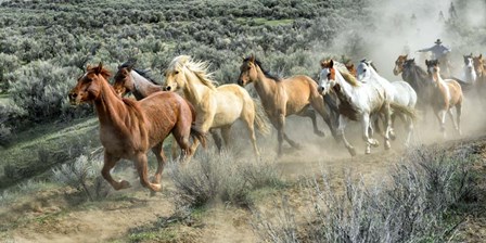 Stampede I by PHBurchett art print