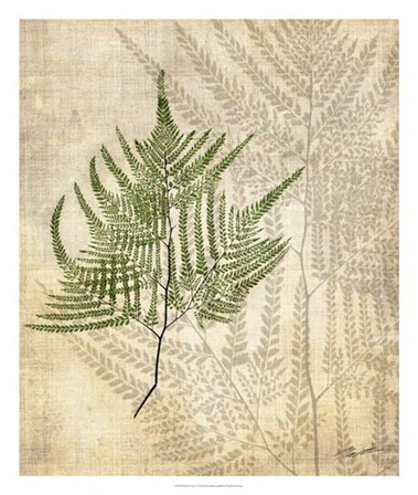 British Ferns V by John Butler art print