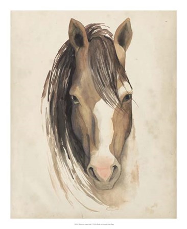 Watercolor Animal Study V by Grace Popp art print