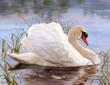 Swan by Shiva art print