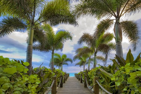 Paradise Path by Dennis Frates art print