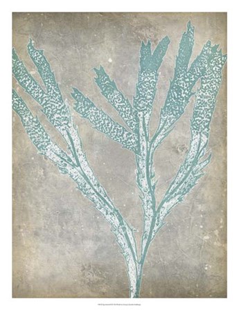 Spa Seaweed II by Jennifer Goldberger art print