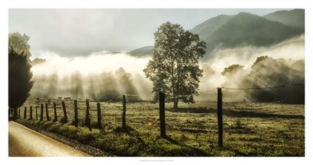 Sunrise in Cades Cove by Danny Head art print