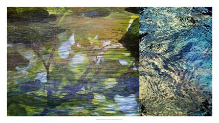 River Mod Panel II by Sisa Jasper art print