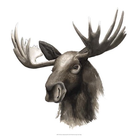 Western Animal Study III by Grace Popp art print