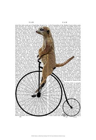 Meerkat on Black Penny Farthing by Fab Funky art print