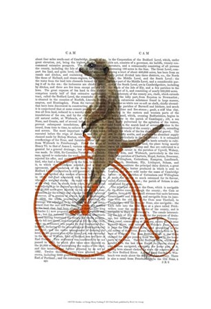 Meerkat on Orange Penny Farthing by Fab Funky art print