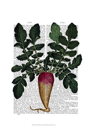 Turnip by Fab Funky art print