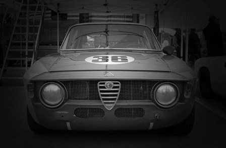 Alfa Laguna Seca by Naxart art print