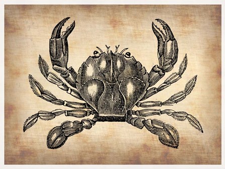 Vintage Crab by Irina March Naxart Studio art print