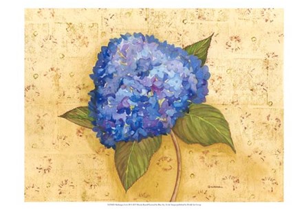 Hydrangea Love II by Wendy Russell art print