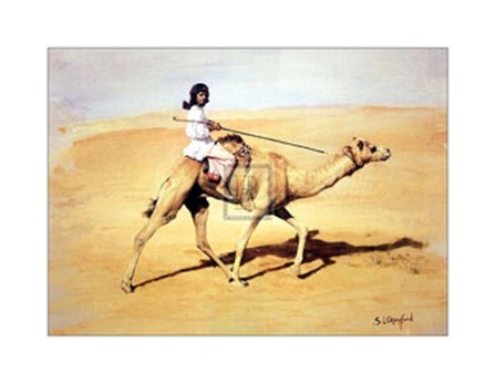 Bedouin Rider with Racing Camel (Le) by Susan Crawford art print