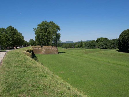 Piattaforma San Frediano, Lucca, Tuscany, Italy by Panoramic Images art print