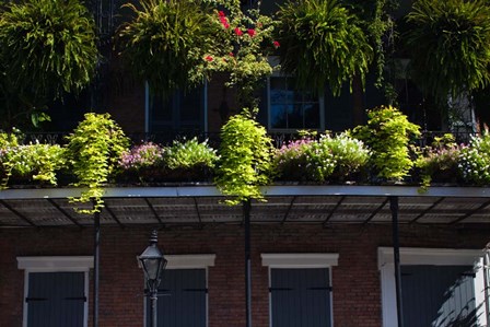 French Quarter, New Orleans, Louisiana by Panoramic Images art print