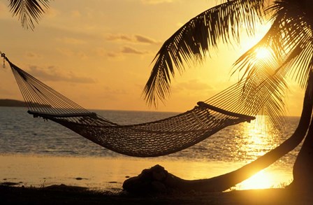 Hammock at Sunset by Panoramic Images art print