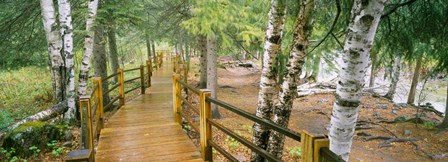 Gooseberry River, Gooseberry Falls State Park, Minnesota by Panoramic Images art print