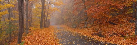 Monadnock Mountain, New Hampshire by Panoramic Images art print