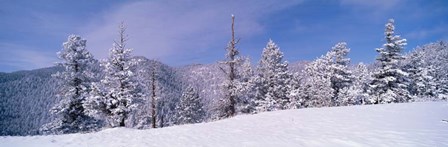 Snow Covered Landscape, Colorado by Panoramic Images art print