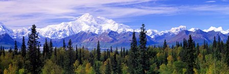 Denali National Park, Alaska by Panoramic Images art print