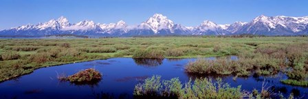 Grand Teton Park, Wyoming (color) by Panoramic Images art print