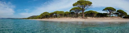 Palombaggia Beach, Corsica, France by Panoramic Images art print