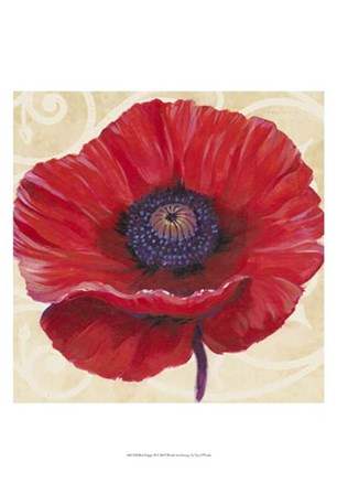 Red Poppy II by Timothy O&#39;Toole art print