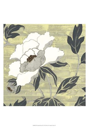 Woodgrain Peony II by Studio W art print