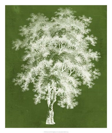 Modern Arbor III by Vision Studio art print