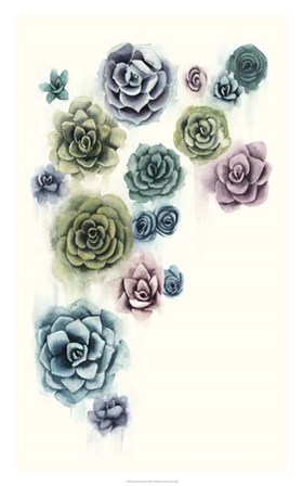 Succulent Cluster II by Grace Popp art print