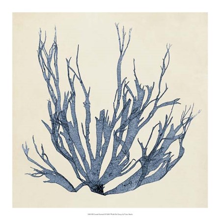 Coastal Seaweed I by Vision Studio art print