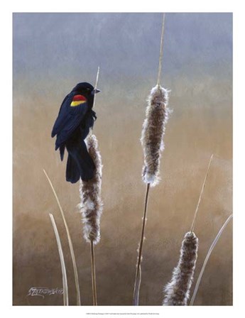 Redwing Morning I by Fred Szatkowski art print