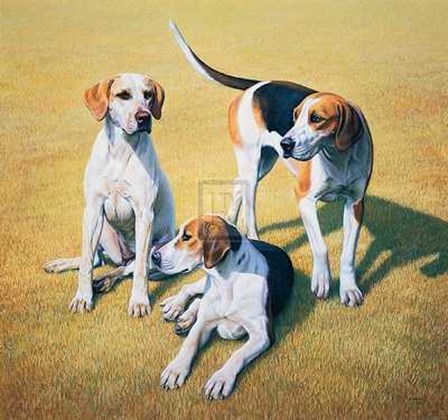 Gary Stinton - Cotswold Foxhounds [Ed 9] by Gary Stinton art print