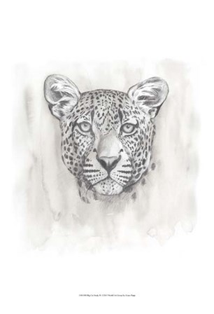 Big Cat Study IV by Grace Popp art print