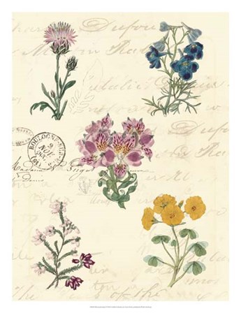 Botanical Journal I by Vision Studio art print