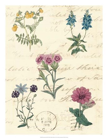 Botanical Journal III by Vision Studio art print