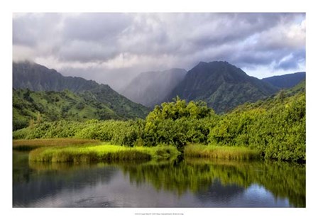 Coastal Marsh IV by Danny Head art print