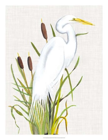 Waterbirds &amp; Cattails III by Naomi McCavitt art print