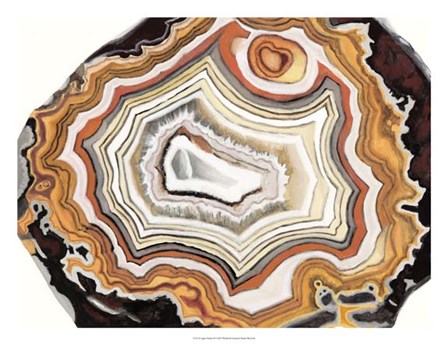 Agate Studies IV by Naomi McCavitt art print