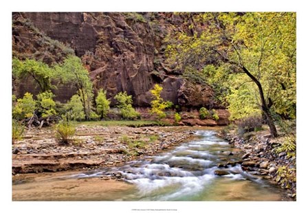 Zion Autumn I by Danny Head art print