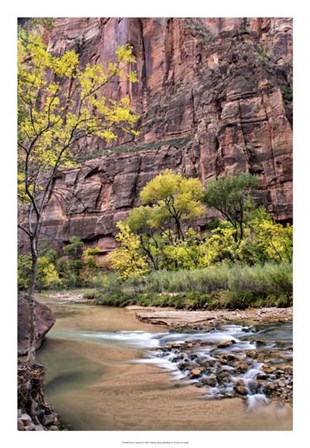 Zion Autumn II by Danny Head art print