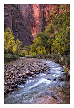 Looking Upstream II by Danny Head art print