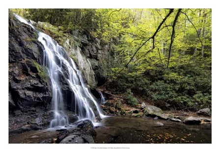 Spruce Flat Falls at Morning by Danny Head art print