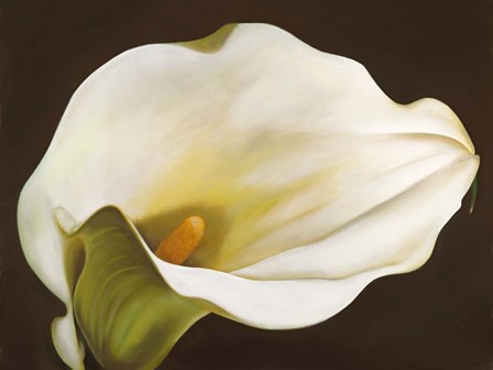 Calla by Serena Biffi art print