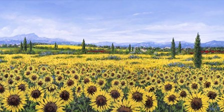 Girasoli by Tebo Marzari art print