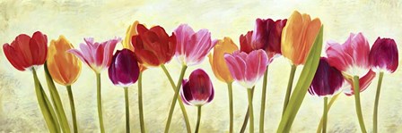 Tulip Parade by Luca Villa art print