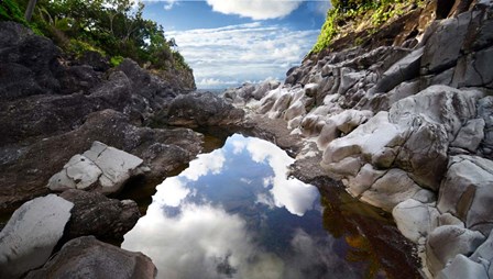 Reflecting Ravine by Bruce Nawrocke art print