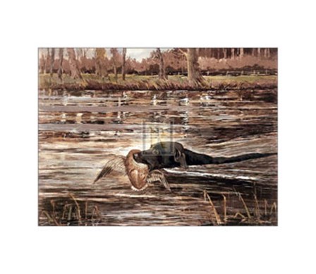 Bramshaw Bob Swimming (Lge) by Reuben ward Binks art print